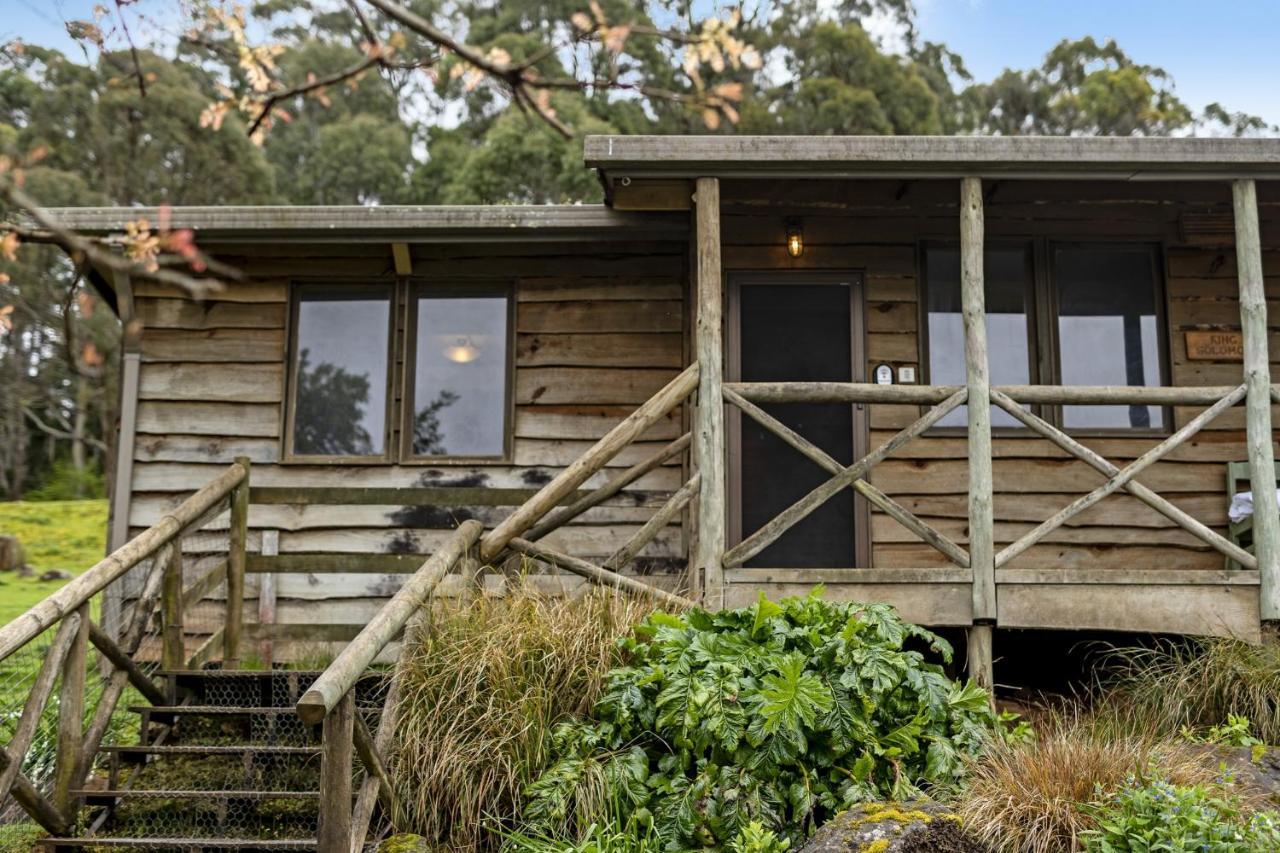 Mole Creek Cabins Exterior foto